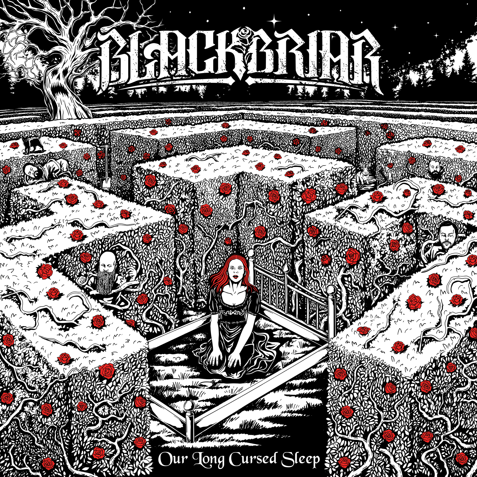 A Long Cursed Sleep cover artwork