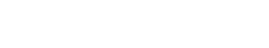 Pro Mark